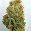 Dirty Girl Marijuana 2 Dirty Girl Marijuana Weed