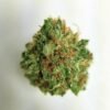 White Queen 2 Buy White Queen marijuana weed online