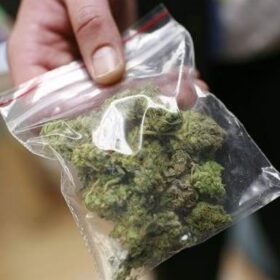 Buy marijuana weed secure safely online